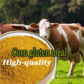 Best Price Corn Gluten Meal for Cattle